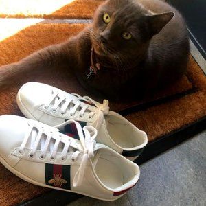 Gucci White Ace Bee Embroidered Calfskin sneakers.